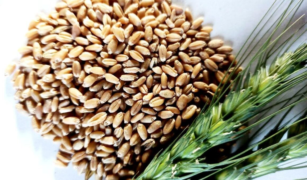 Wheat Price - 10 रुपय सस्ता हो सकता है आटा