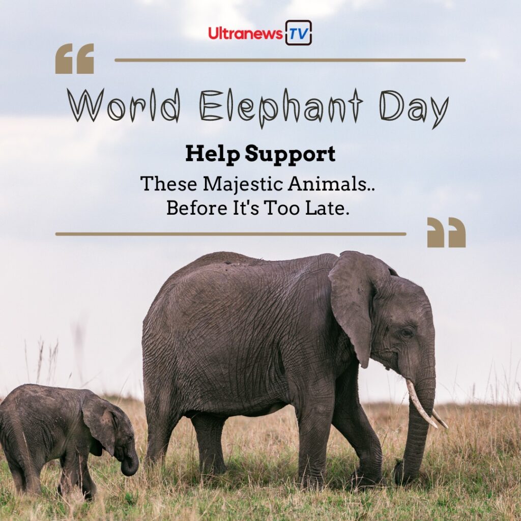 World Elephant Day | विश्व हाथी दिवस | 12 August