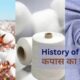 History of Cotton विश्व कपास दिवस / World Cotton Day (7 अक्टूबर) पर जानें कपास के इतिहास के बारे में