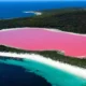 Pink Lake गुलाबी झील (Pink Lake) के बारे में क्या खास है? जानिए इससे जुड़े रोचक तथ्य